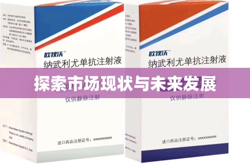 遵义探索市场现状与未来发展