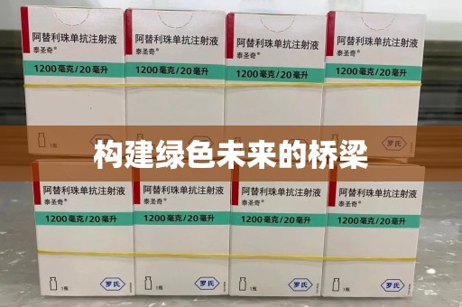 遵义构建绿色未来的桥梁